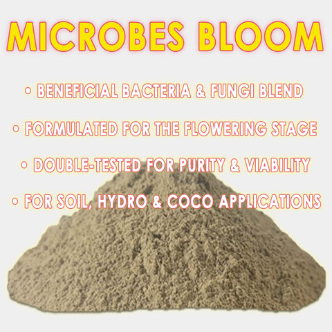 RAW Microbes Bloom Stage | Beneficial Bacteria & Fungi | Flower & Fruit Support, additional product view 2
