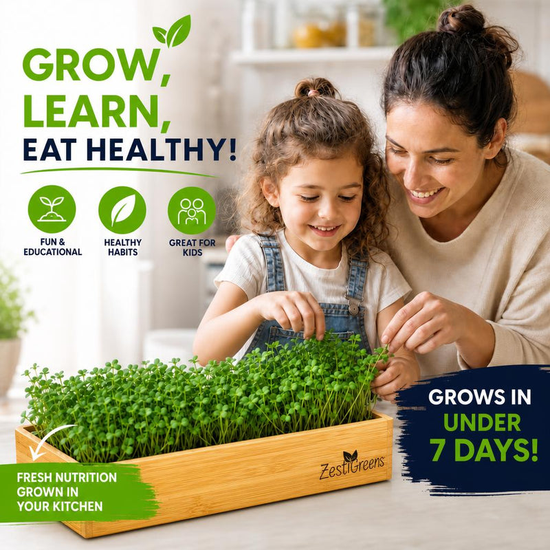 Load image into Gallery viewer, Microgreens Growing Kit Self Watering
