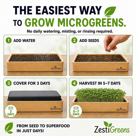 Microgreens Growing Kit Self Watering