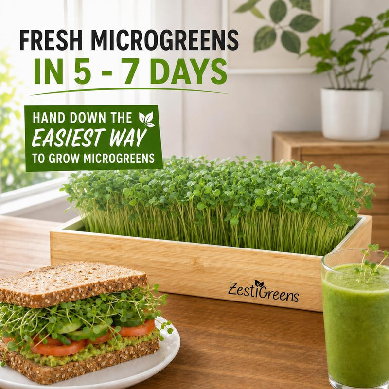 Load image into Gallery viewer, Microgreens Growing Kit Self Watering
