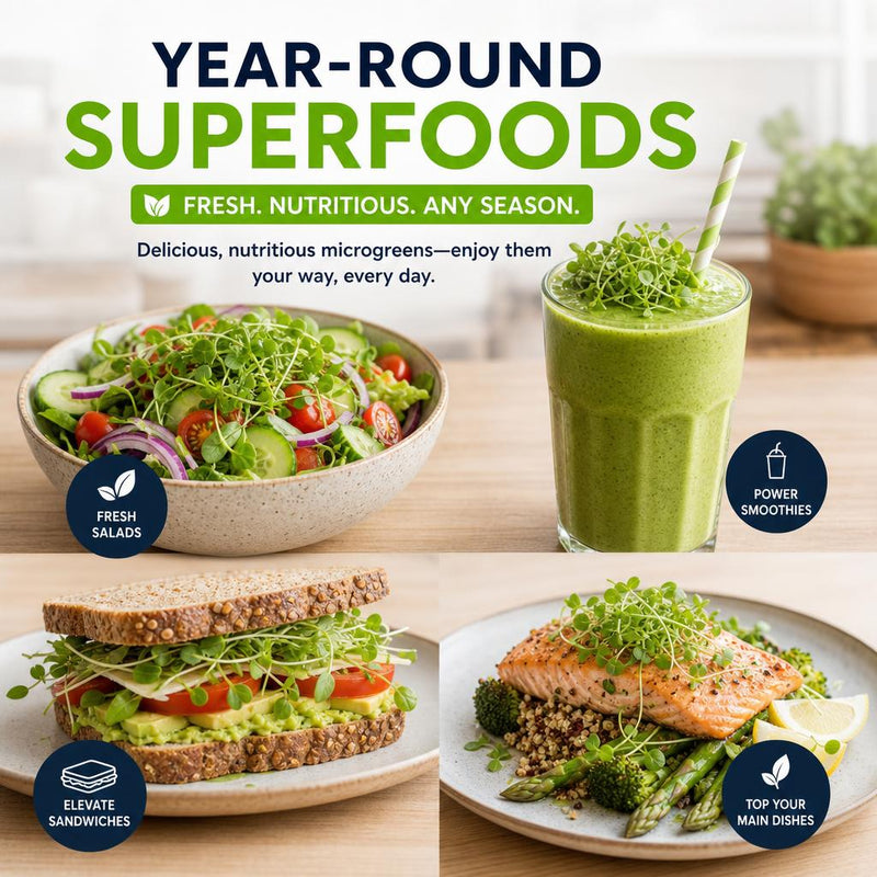 Load image into Gallery viewer, Microgreens Growing Kit Self Watering
