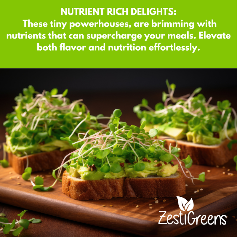 Load image into Gallery viewer, Organic Variety Pack Microgreens Seeds
