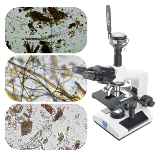 Microbiology Testing