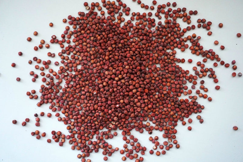 Load image into Gallery viewer, Grain Sorghum, Milo, Bird Seed
