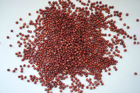 Grain Sorghum, Milo, Bird Seed, additional product view 2