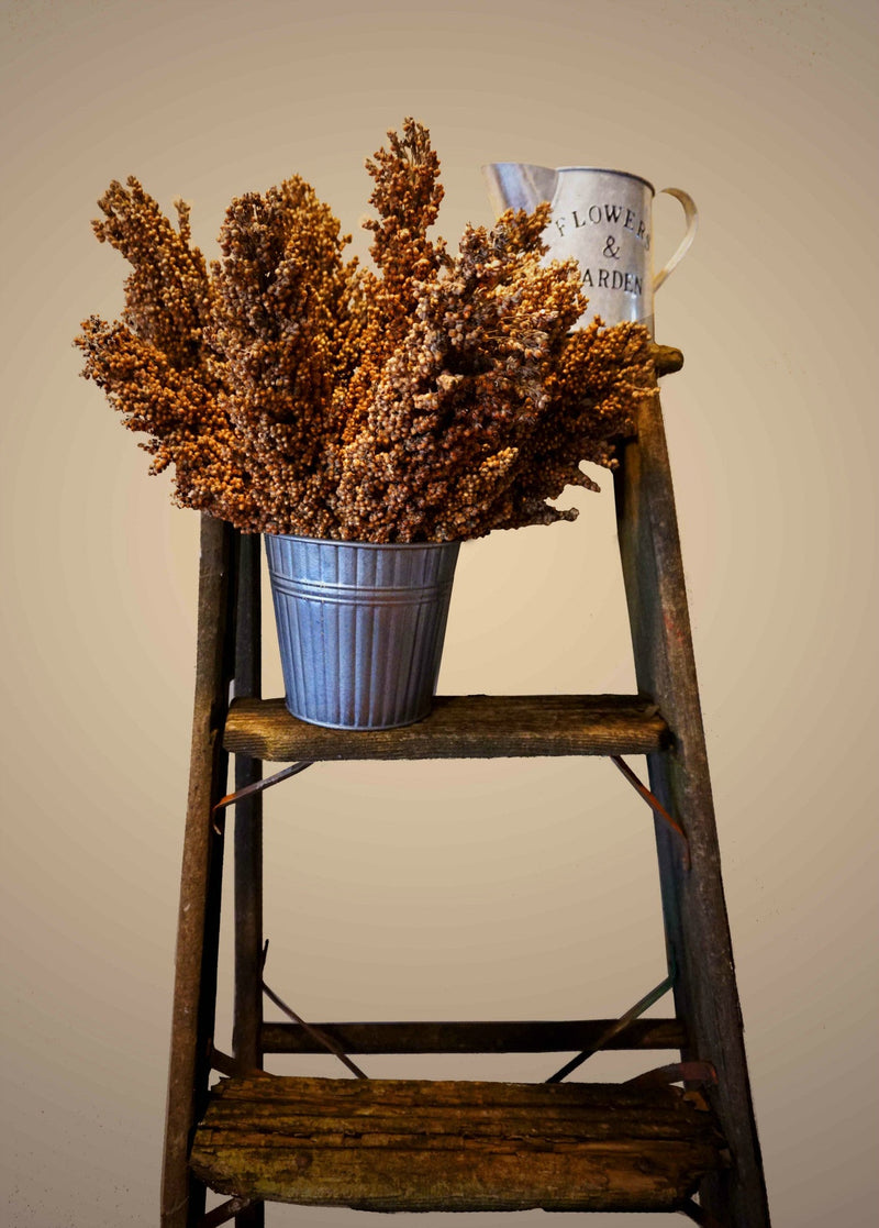 Load image into Gallery viewer, Grain Sorghum, Milo, Bird Seed
