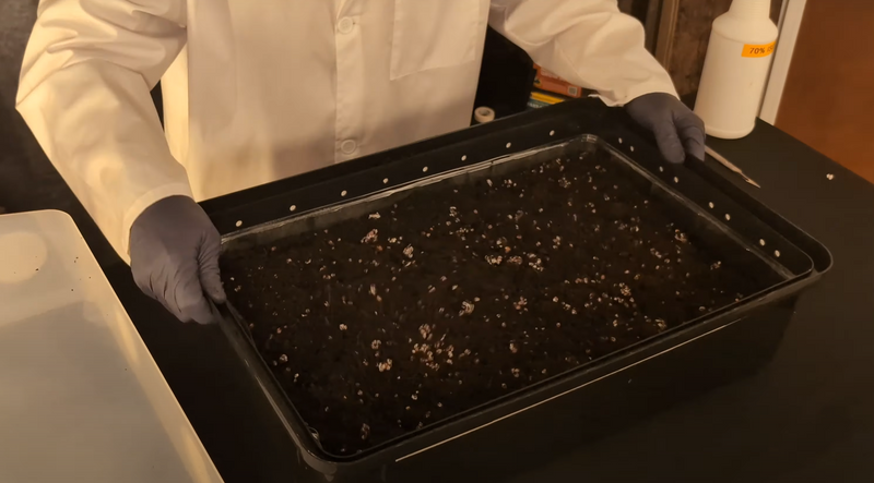 Load image into Gallery viewer, Monotub Refill Kit
