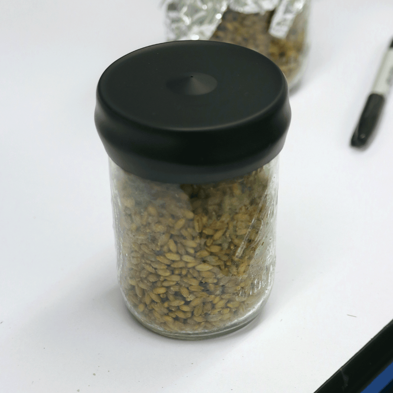Load image into Gallery viewer, Microppose Silicone Jar Covers
