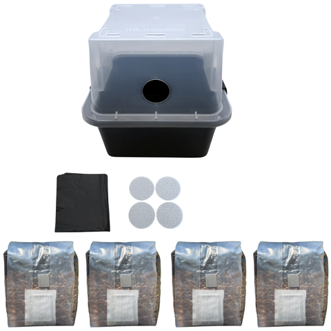 MonoTub mushroom grow kit, fruiting chamber