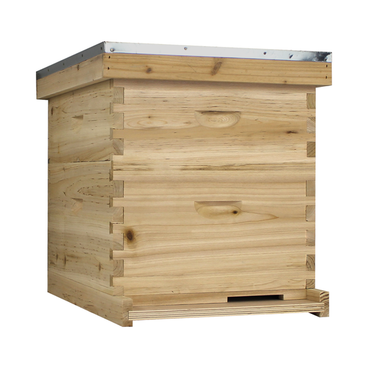 NuBee 10-Frame Beehive Starter Kit – Fully Assembled 1 Deep & 1 Medium Boxes with Frames & Wax-Coated Foundations