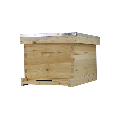 NuBee 8-frame beehive, 1 deep box, front