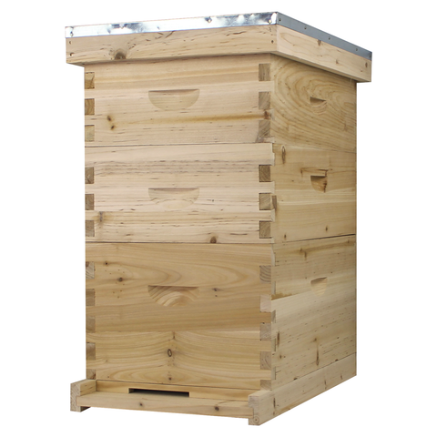 NuBee 8-frame beehive, 1 deep and 2 mediums, front