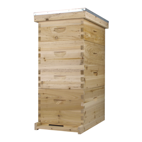 NuBee 8-frame beehive, 1 deep and 3 mediums, front