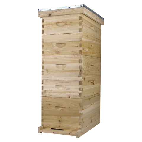 NuBee 8-frame beehive, 1 deep and 4 mediums, front