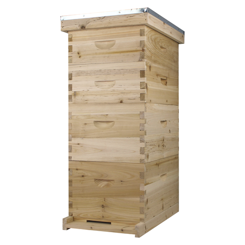 NuBee 8-frame beehive, 2 deeps and 2 mediums, front