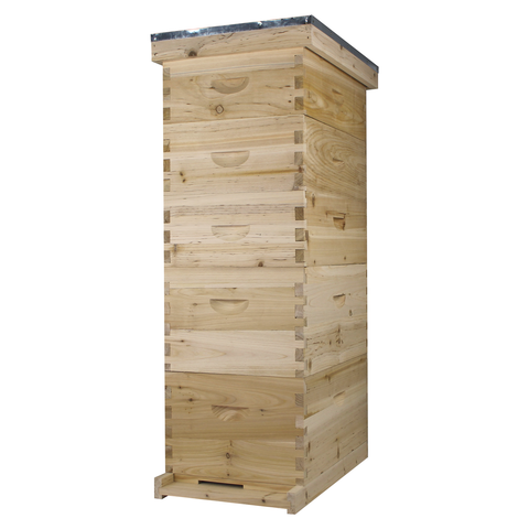 NuBee 8-frame beehive, 2 deeps and 3 mediums, front