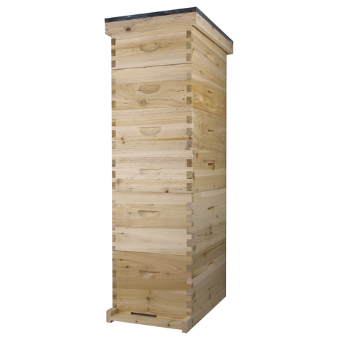 NuBee 8-frame beehive, 2 deeps and 4 mediums, front