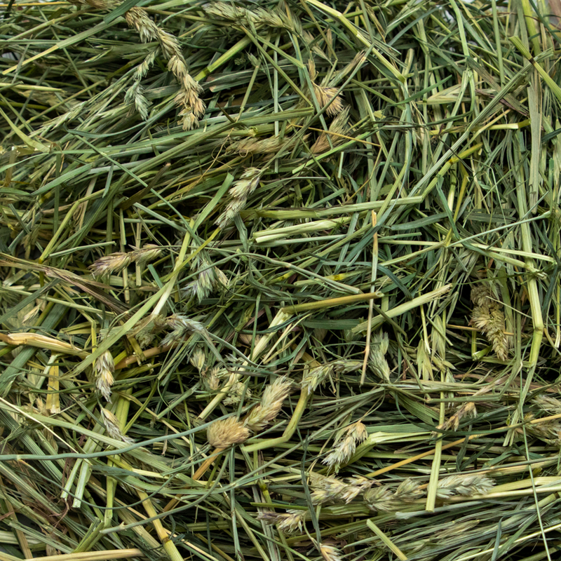 Load image into Gallery viewer, Rabbit Hole Hay Ultra Premium Coarse Orchard Grass
