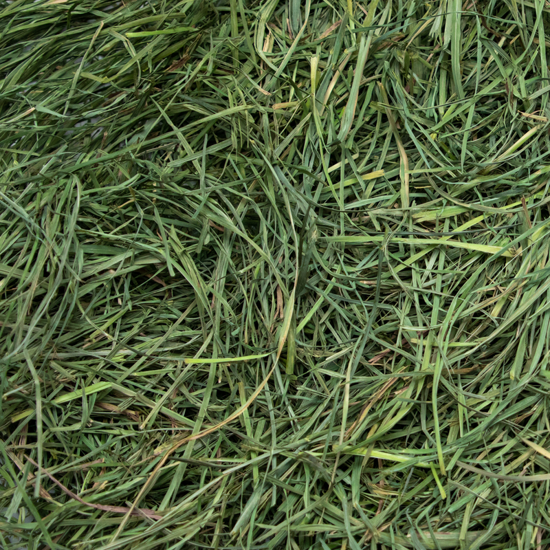 Load image into Gallery viewer, Rabbit Hole Hay Ultra Premium Soft Orchard Grass
