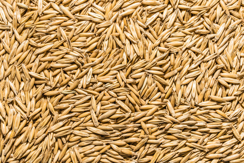 Load image into Gallery viewer, 4 Seed Sample Pack - Wheat, Oat, Rye, Barley

