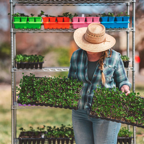 72-Cell Seed Starting Trays, additional product view 2