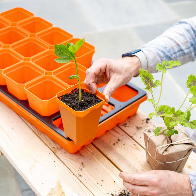 Load image into Gallery viewer, 3.3" Heavy Duty Seed Starting Pots
