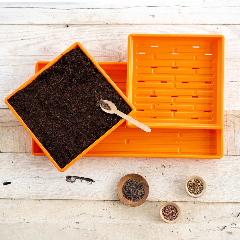 Load image into Gallery viewer, 1010 Microgreens Kit
