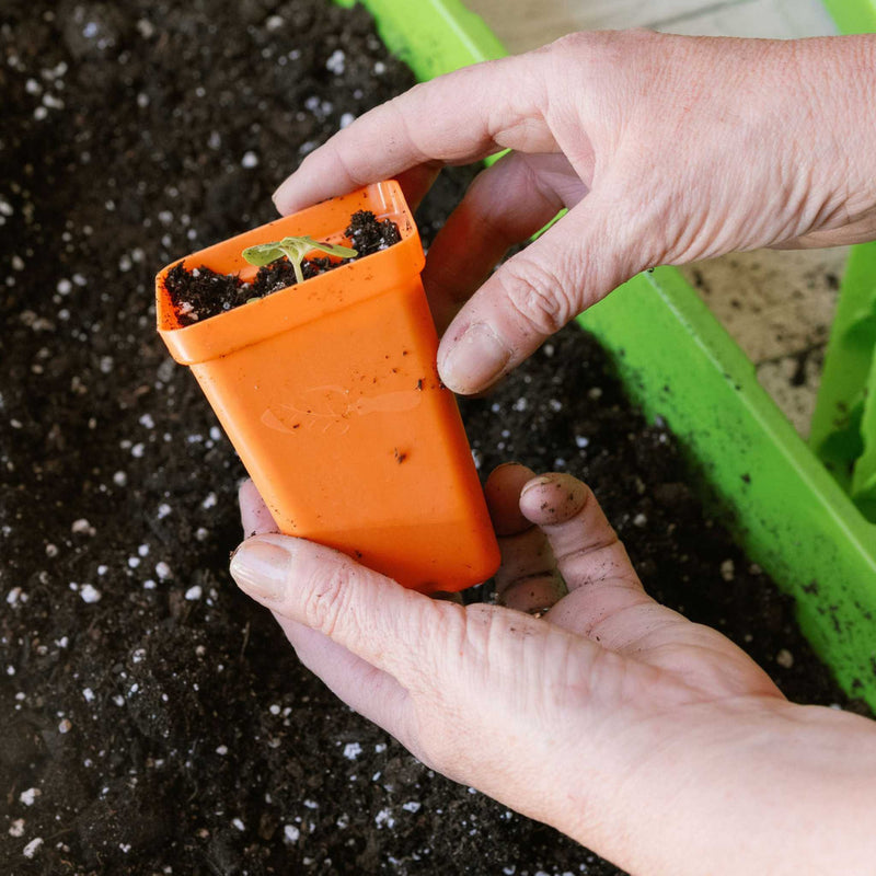Load image into Gallery viewer, Seed Starter Pots - 2.5" Extra Strength

