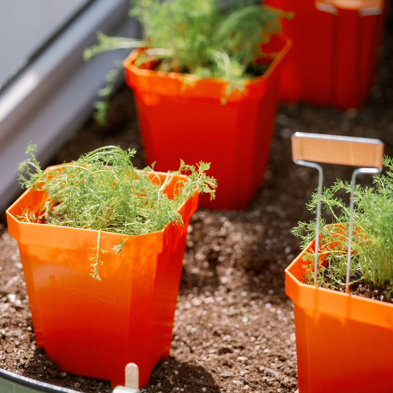 Load image into Gallery viewer, 5" Nursery Pots with Insert Tray
