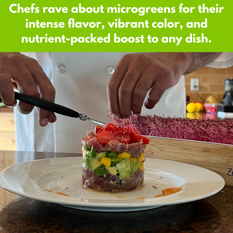 Load image into Gallery viewer, Organic Variety Pack Microgreens Seeds
