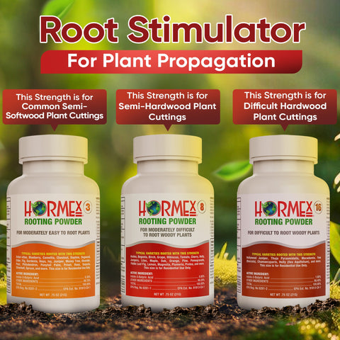 Hormex Rooting Powder pack 