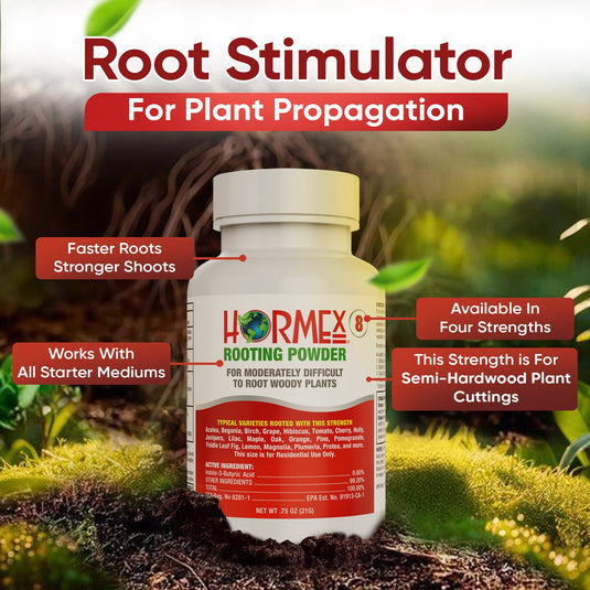 Hormex Rooting Duo: Vitamin B1 Rooting Hormone Concentrate & Rooting Powder