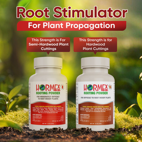 Hormex Rooting Powder 