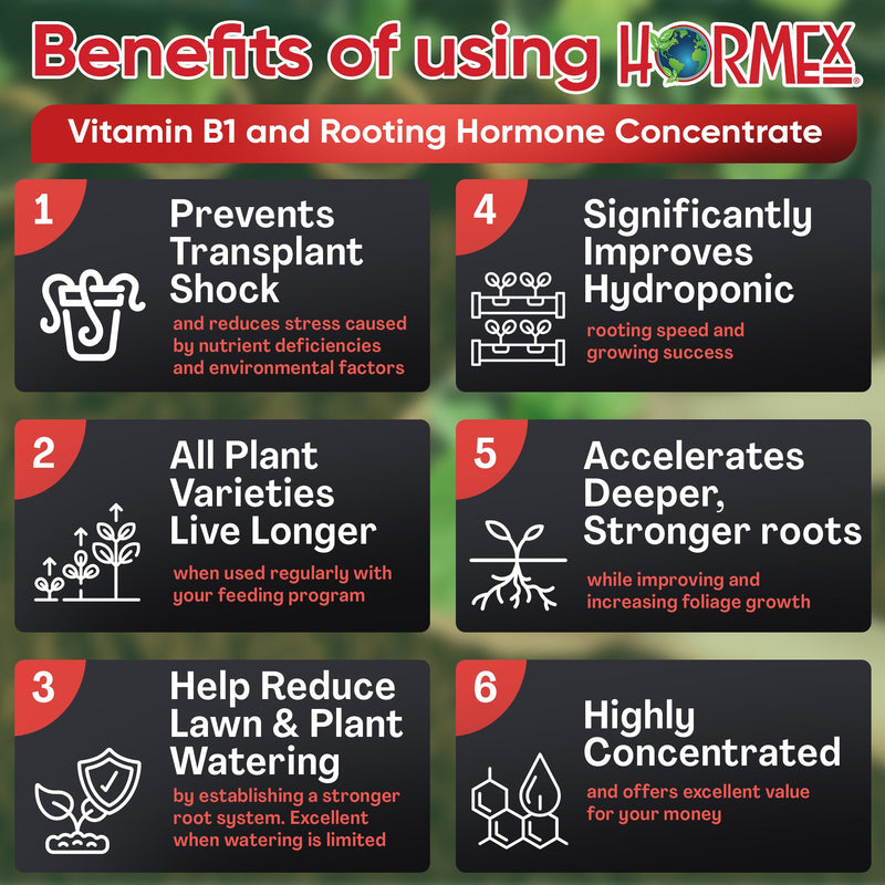 Load image into Gallery viewer, Hormex Rooting Hormone Concentrate with B1 – Root Growth Stimulator for Stronger, Thriving Plants - Prevents Transplant Shock - Hydroponics, Houseplants, Gardens, Trees, Fruits and Vegetables
