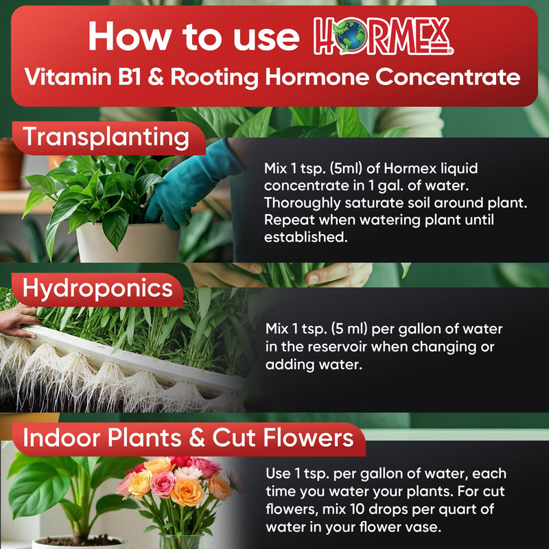 Load image into Gallery viewer, Hormex Rooting Hormone Concentrate with B1 – Root Growth Stimulator for Stronger, Thriving Plants - Prevents Transplant Shock - Hydroponics, Houseplants, Gardens, Trees, Fruits and Vegetables
