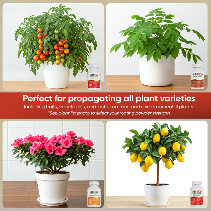 Load image into Gallery viewer, Hormex Rooting Powder Pack #3, 8, 16 - Rooting Hormone for Common Home Garden Plants to Very Difficult Hardwood, Medicinal and Tree Cuttings
