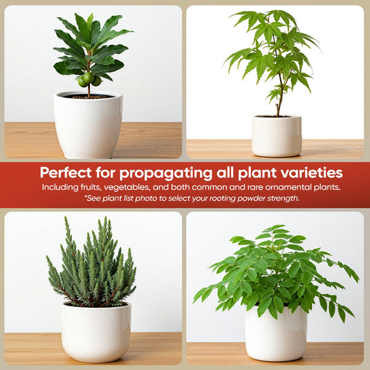Hormex Rooting Powder