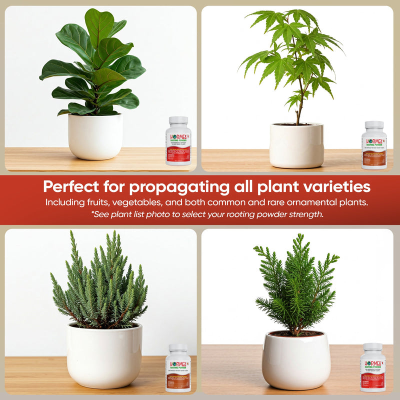 Load image into Gallery viewer, Hormex Rooting Powder #8 &amp; 16 - Rooting Hormone for Semi-Hardwood Home and Garden Plants to Very Difficult Hardwood, Medicinal and Tree Cuttings

