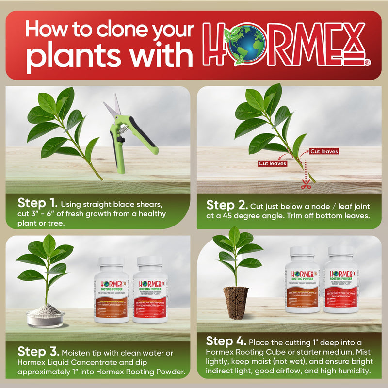 Load image into Gallery viewer, Hormex Rooting Powder #8 &amp; 16 - Rooting Hormone for Semi-Hardwood Home and Garden Plants to Very Difficult Hardwood, Medicinal and Tree Cuttings
