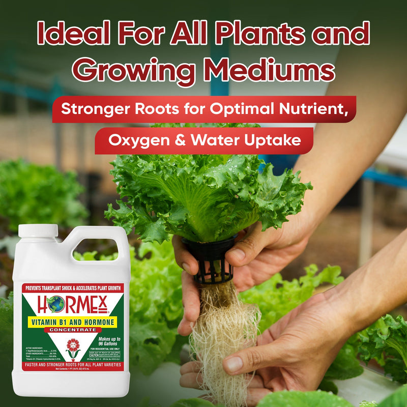 Load image into Gallery viewer, Hormex Rooting Hormone Concentrate with B1 – Root Growth Stimulator for Stronger, Thriving Plants - Prevents Transplant Shock - Hydroponics, Houseplants, Gardens, Trees, Fruits and Vegetables
