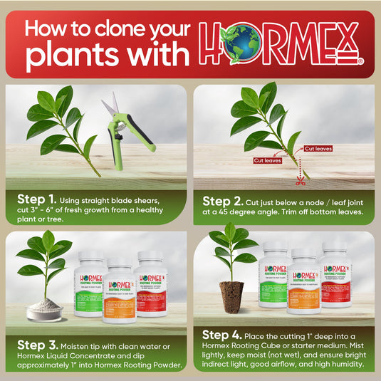 Hormex Rooting Powder Pack