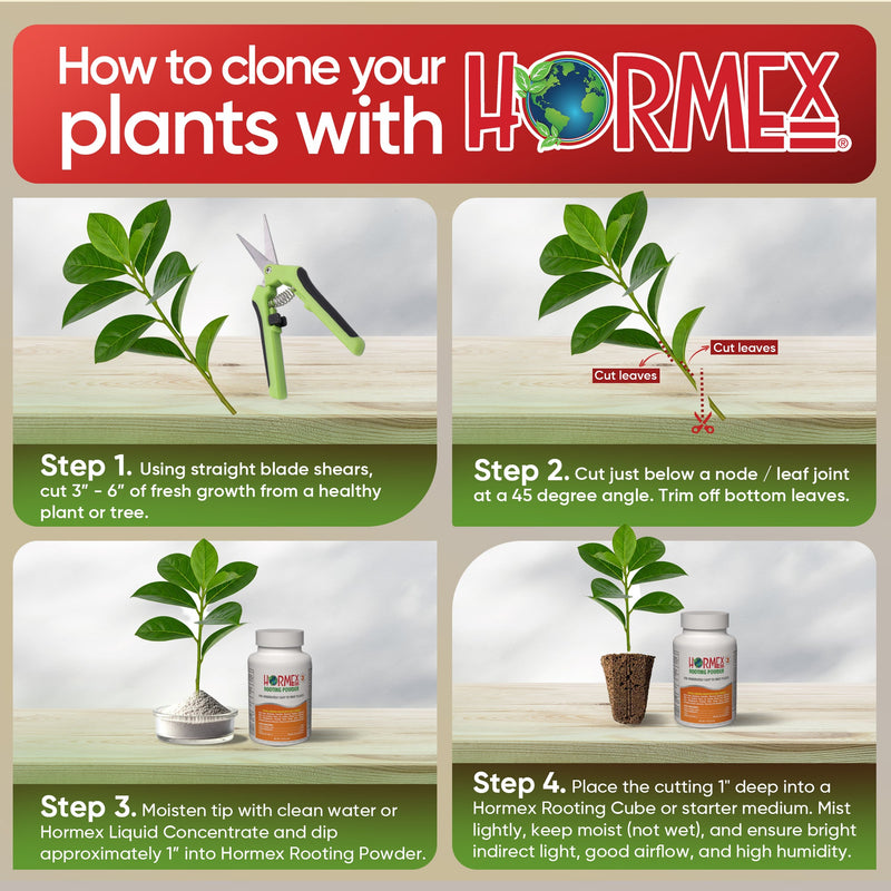 Load image into Gallery viewer, Hormex Rooting Powder #3 (0.30 IBA) - Rooting Hormone for Common Home &amp; Garden Plant Cuttings
