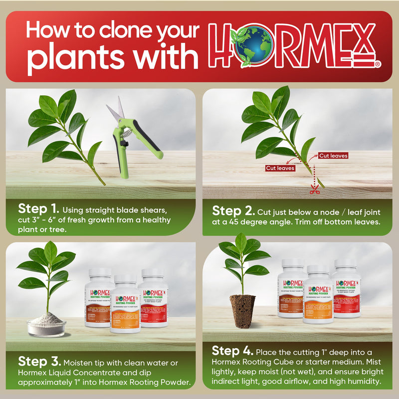 Load image into Gallery viewer, Hormex Rooting Powder Pack #3, 8, 16 - Rooting Hormone for Common Home Garden Plants to Very Difficult Hardwood, Medicinal and Tree Cuttings
