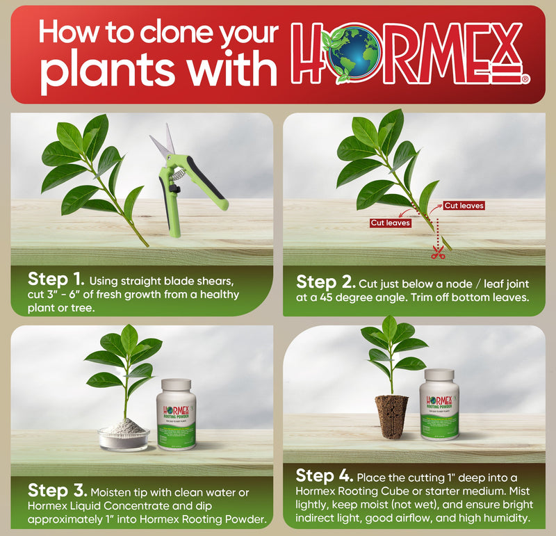 Load image into Gallery viewer, Hormex Rooting Powder #1 (0.10 IBA) - Rooting Hormone for Delicate Houseplants, Garden Herbs &amp; Succulent Cuttings
