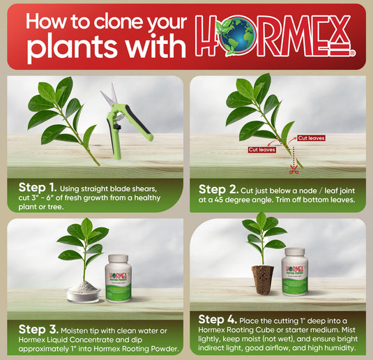 Hormex Rooting Powder