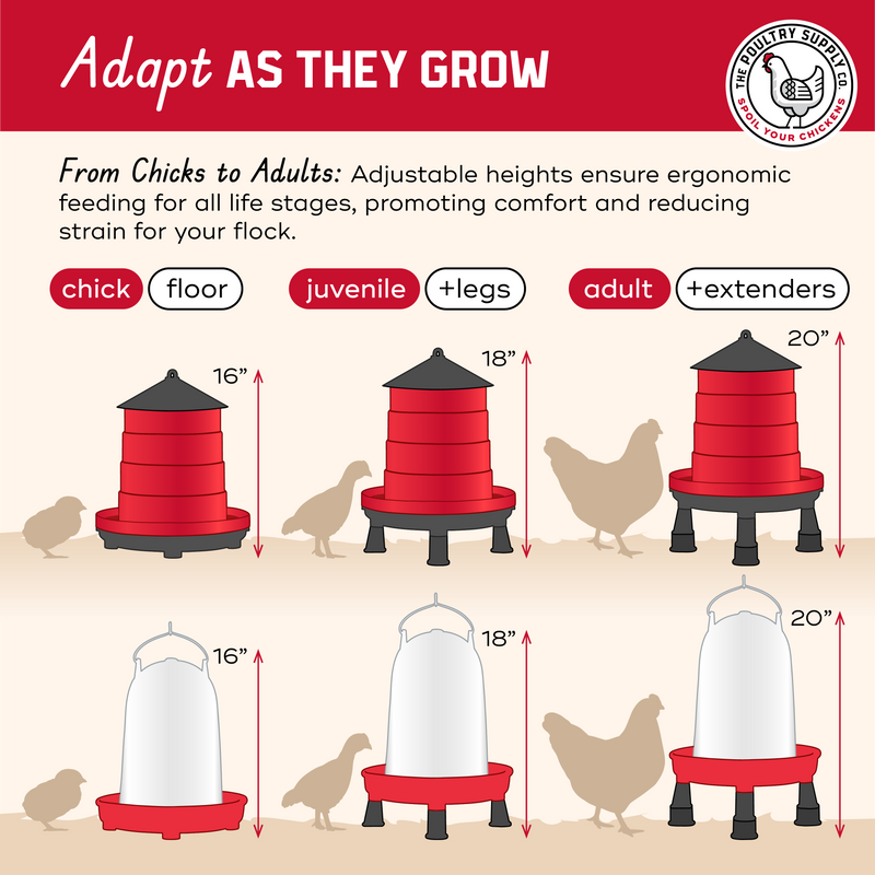Load image into Gallery viewer, Heritage Poultry Feeder &amp; Waterer Duo shown in product view 7
