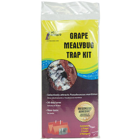 Pest Wizard Grape Mealybug trap kit packaging