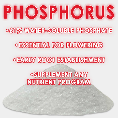 RAW Phosphorus | 61% Water-Soluble Phosphate + Ammonium Nitrogen | Bloom & Root Support, additional product view 2