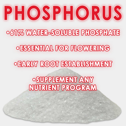 RAW Phosphorus | 61% Water-Soluble Phosphate + Ammonium Nitrogen | Bloom & Root Support
