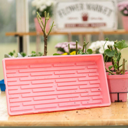 1020 Extra Strength Trays - Colors